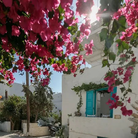 Apartment Naxos Chora Downtown Center Studio